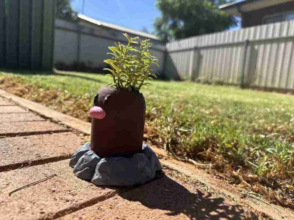 Diglett Planter