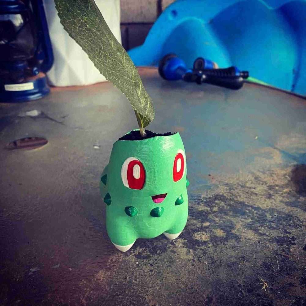 Chikorita Planter