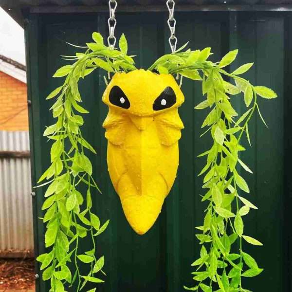 Kaunda Planter