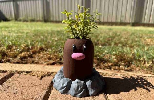 Diglett Planter