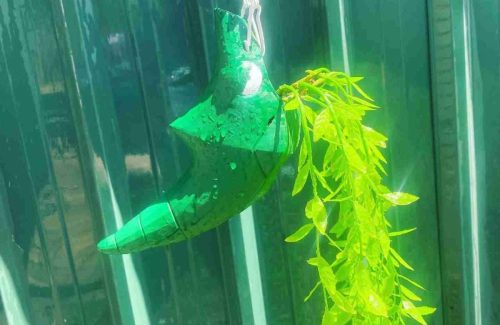 Metapod Planter